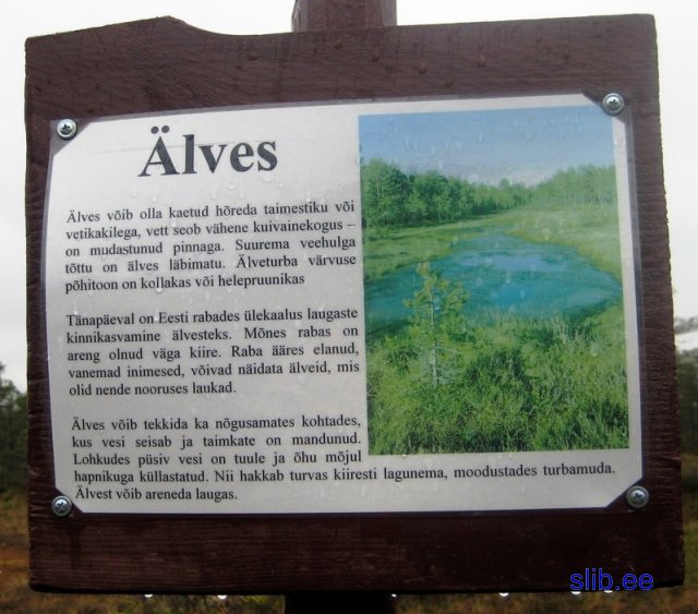 IMG_3050.JPG