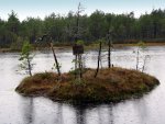 IMG_3051.jpg
