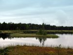 IMG_3059.jpg
