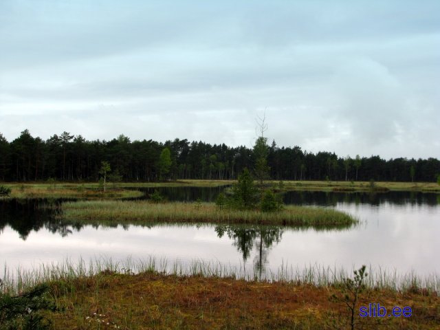 IMG_3059.jpg