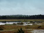 IMG_3061.jpg