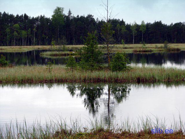 IMG_3064.jpg