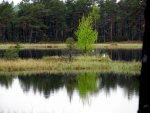 IMG_3070.jpg