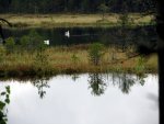 IMG_3073.jpg