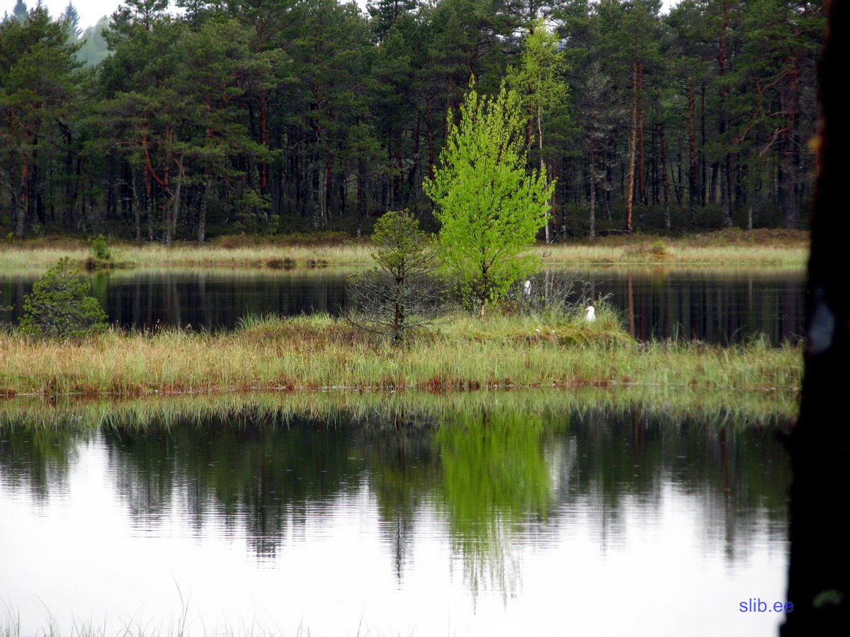 IMG_3070.jpg