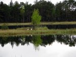 IMG_3178.jpg