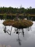IMG_3231.jpg