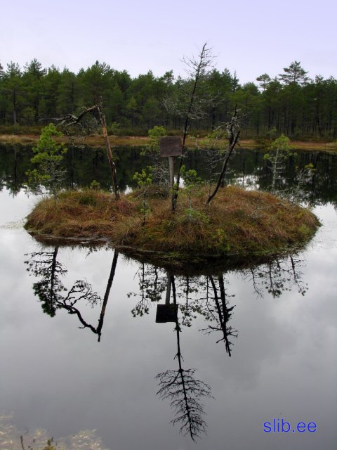 IMG_3231.jpg