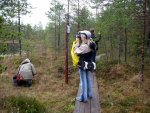 IMG_3246.jpg