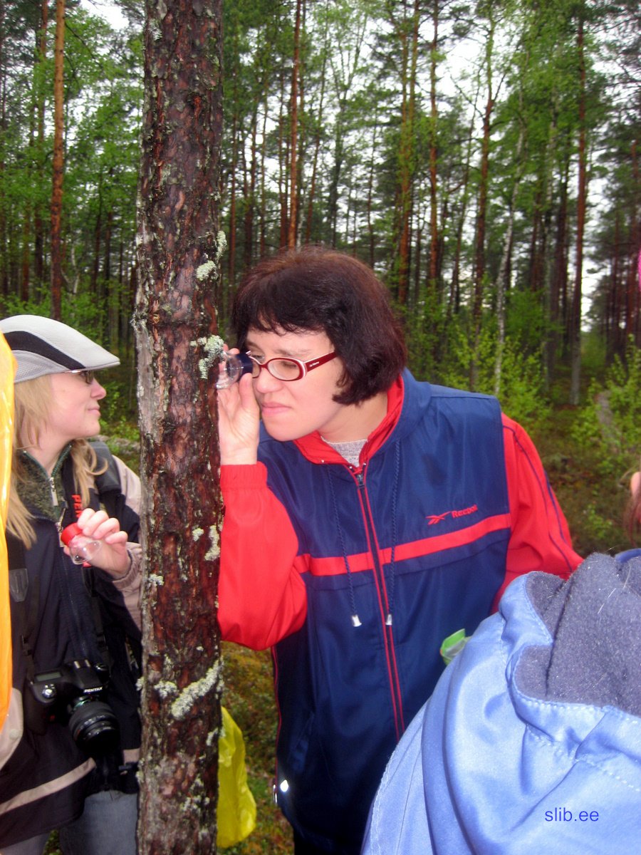 IMG_3153.JPG