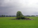 IMG_3268.jpg