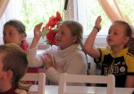 IMG_3367.JPG