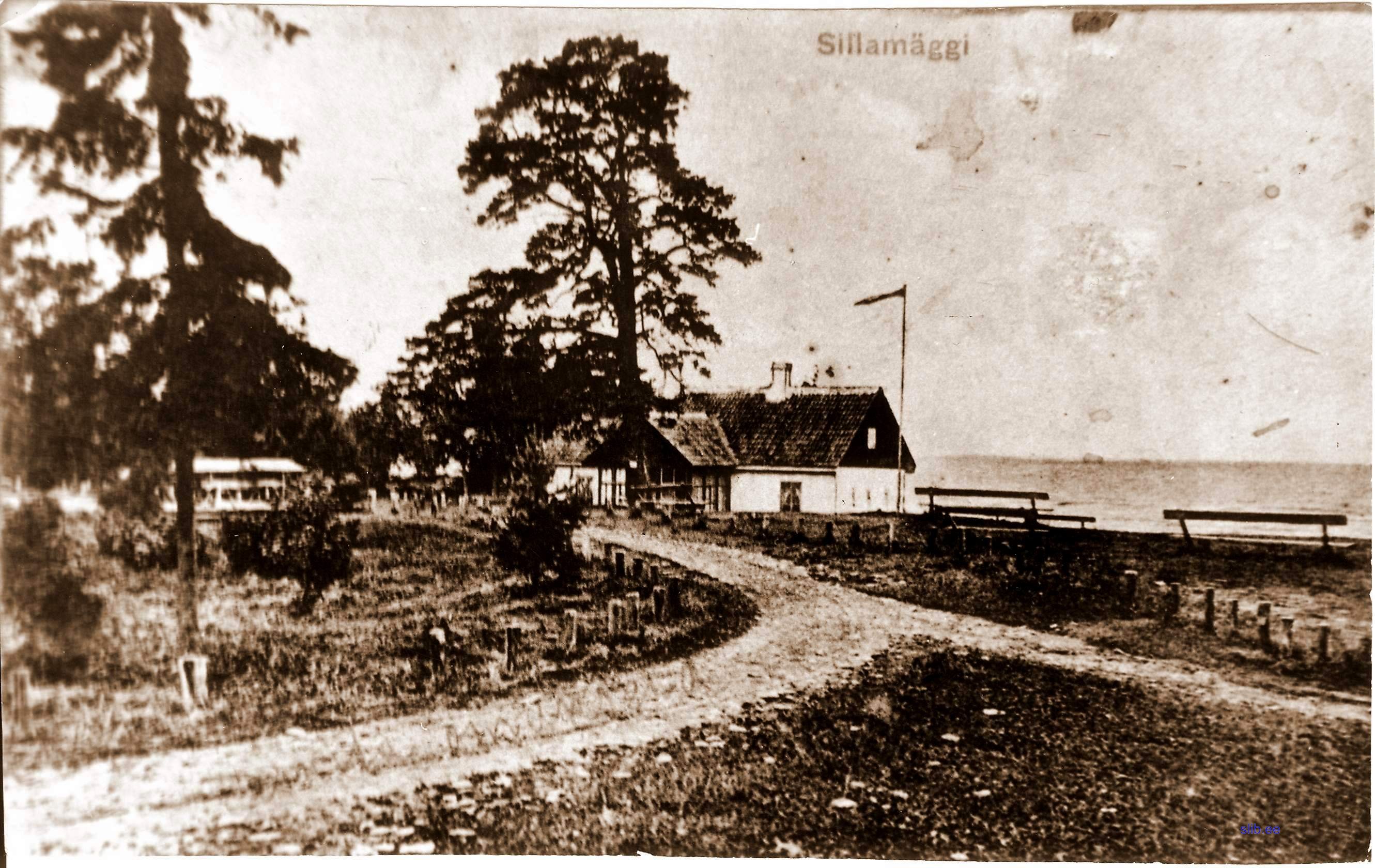 Sillamagi_21_1.JPG