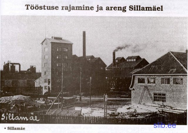 Sillamagi_38_3.JPG