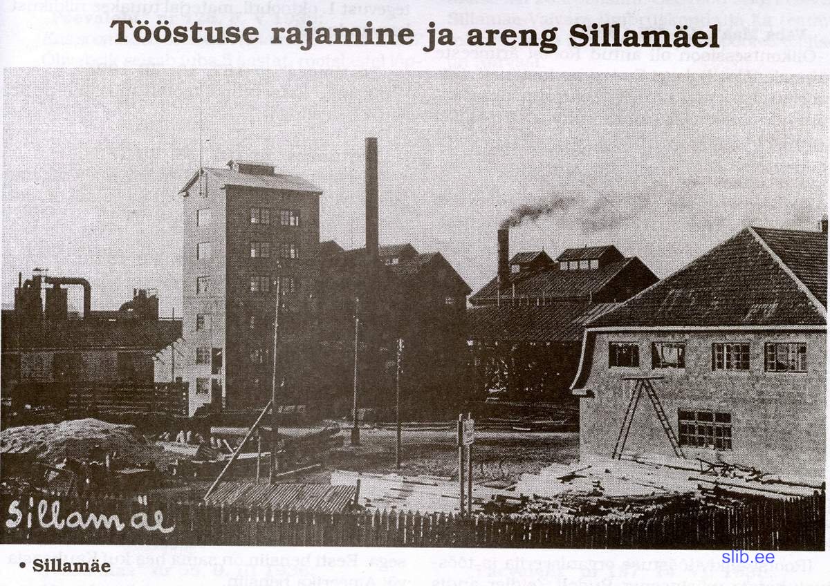 Sillamagi_38_3.JPG