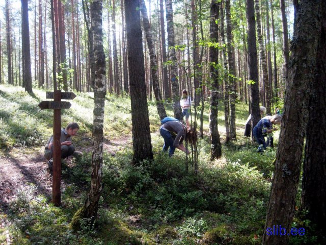 Kurtna 31 07 08 063.JPG