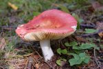31_07_2008 114.jpg