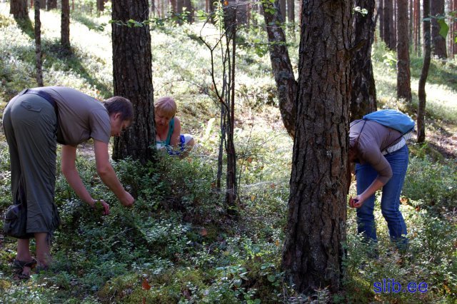 31_07_2008 153.jpg