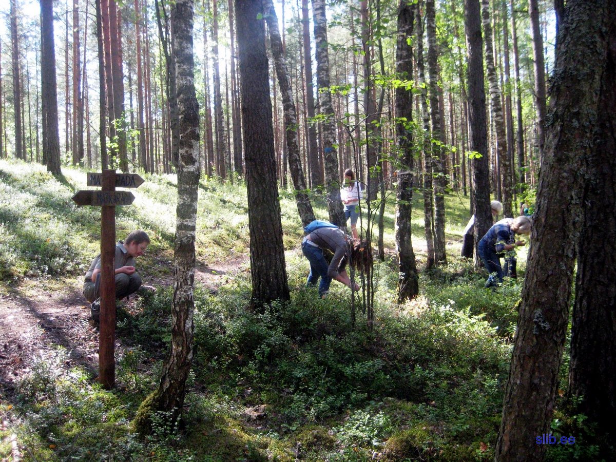 Kurtna 31 07 08 063.JPG