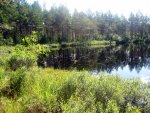 Kurtna 31 07 08 072_001.JPG