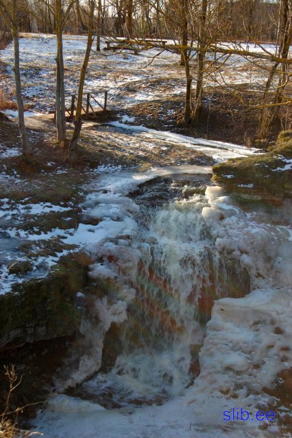 03_02_2008 068 langevoja.jpg