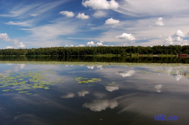 DSC_0046 Narova.jpg
