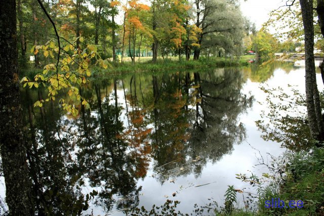 IMG_3063.JPG