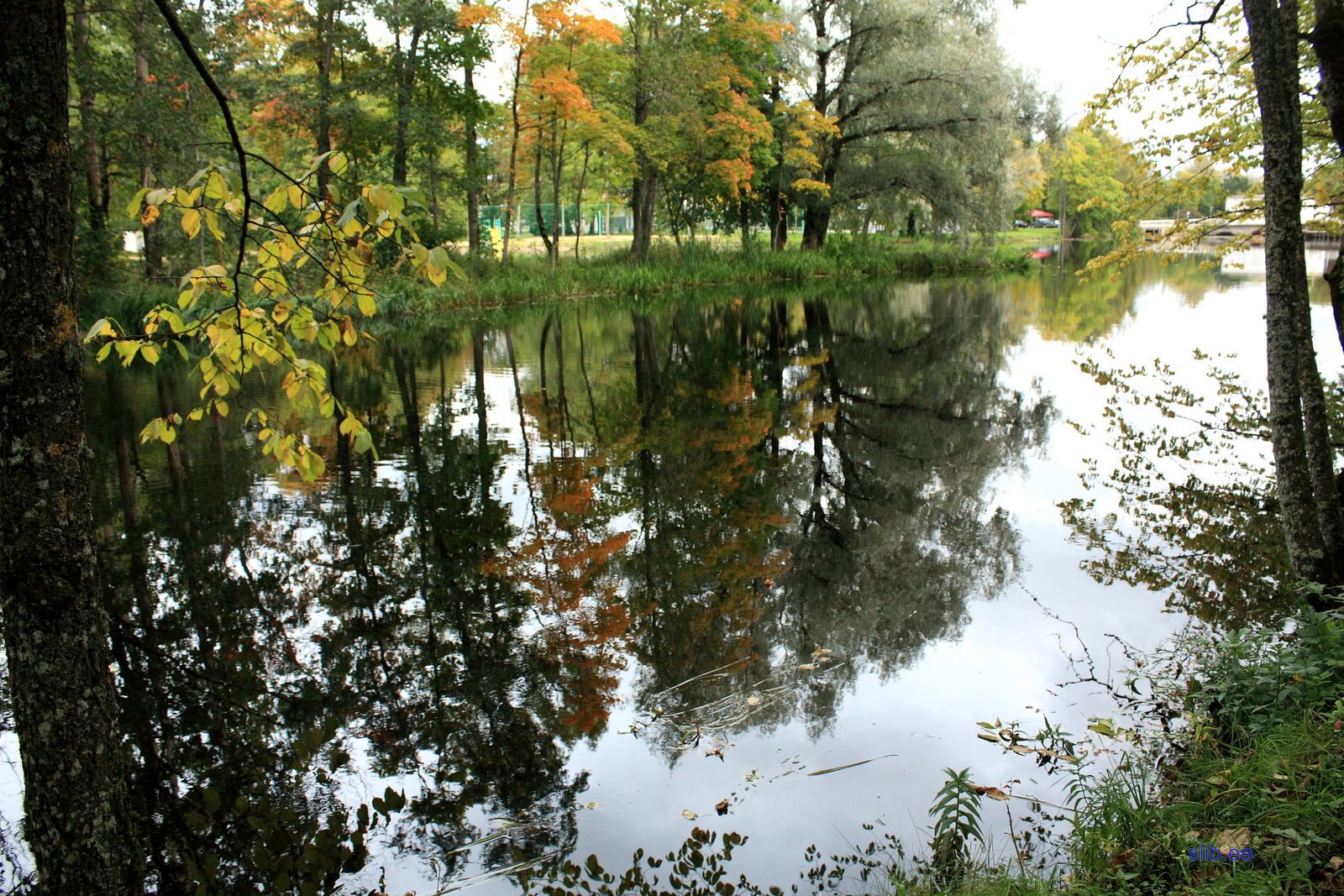 IMG_3063.JPG