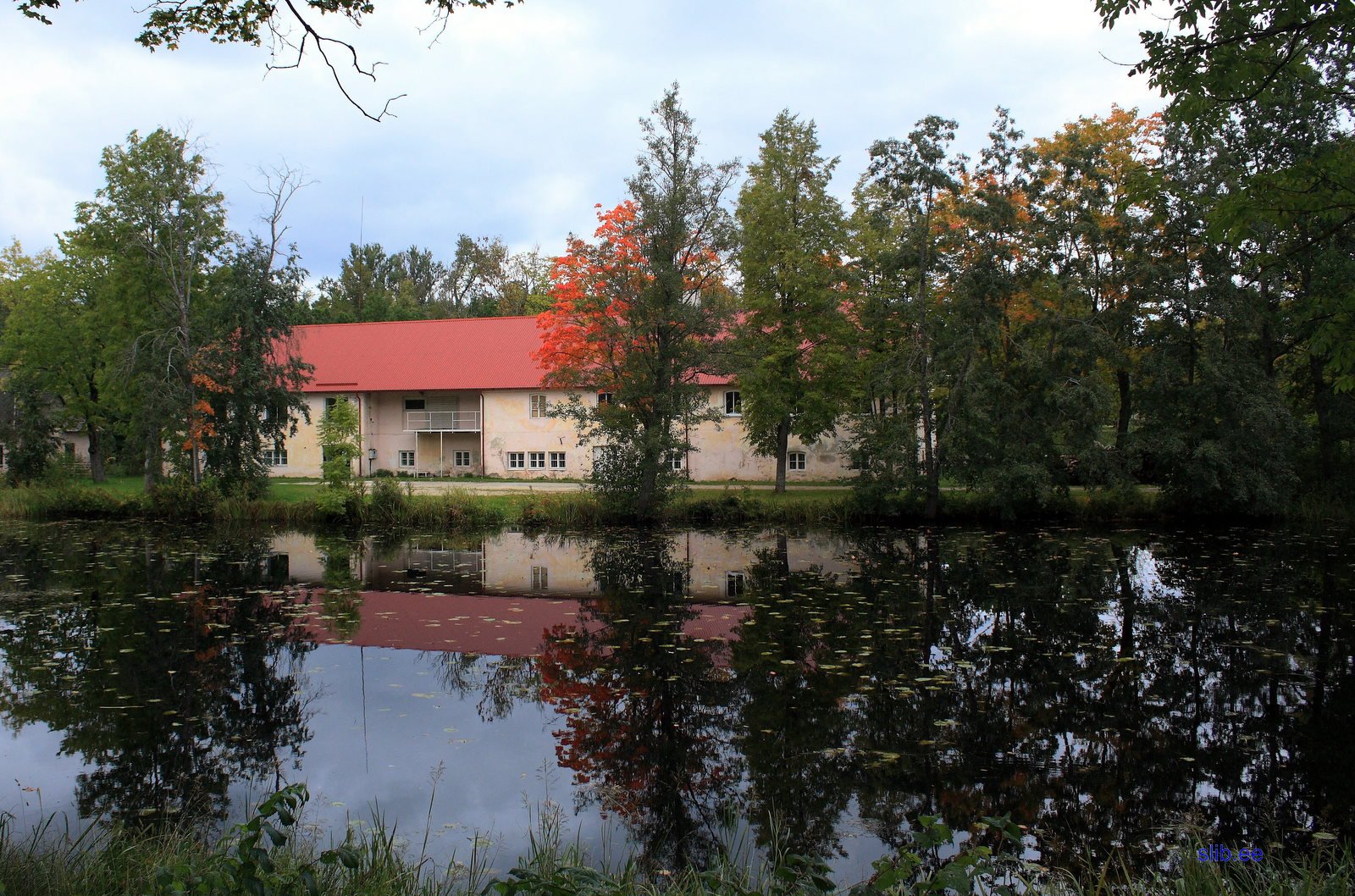 IMG_3083.JPG