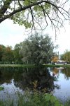 IMG_3124.JPG
