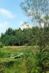 20081005_001.jpg