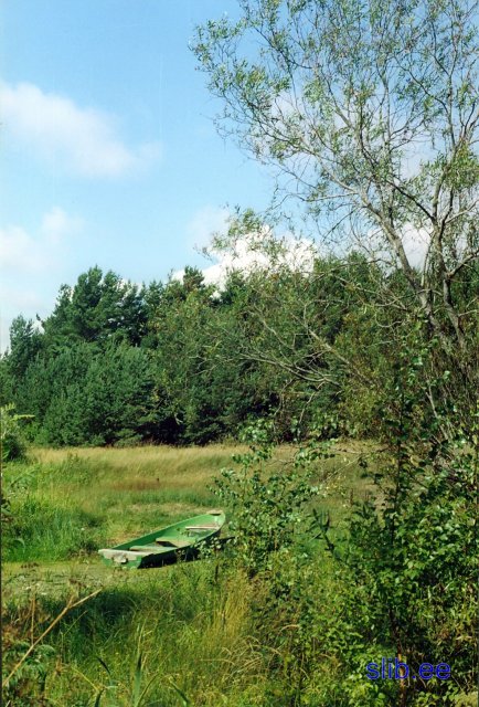 20081005_001.jpg