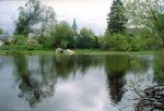 20081005_003.jpg