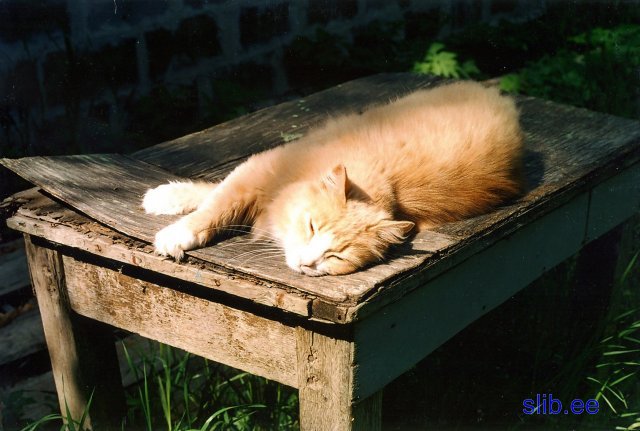 20081005_004.jpg