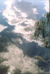 20081005_005.jpg