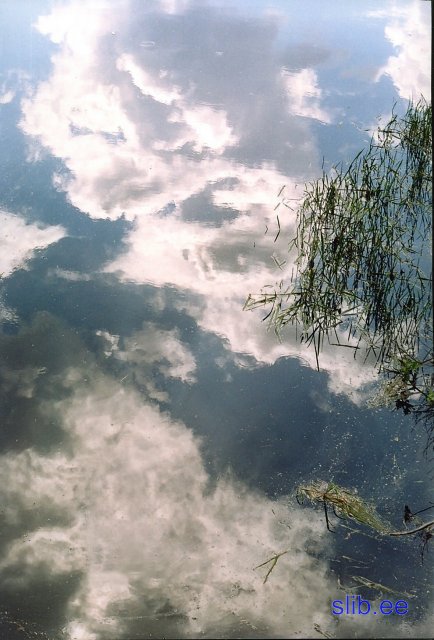 20081005_005.jpg