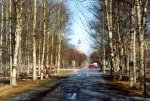 20081005_006.jpg