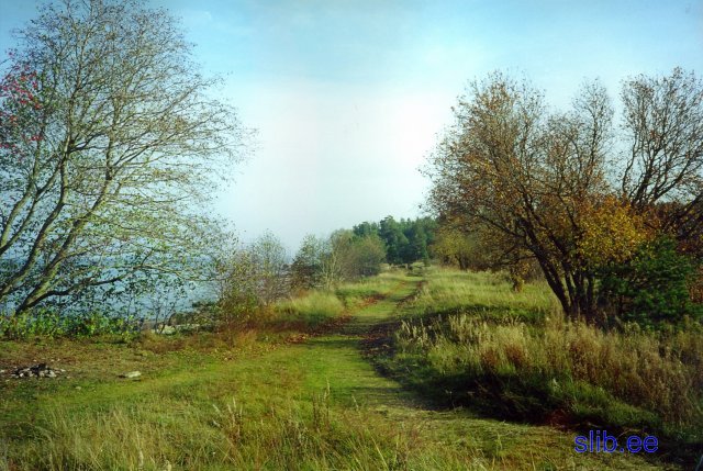 20081005_007.jpg