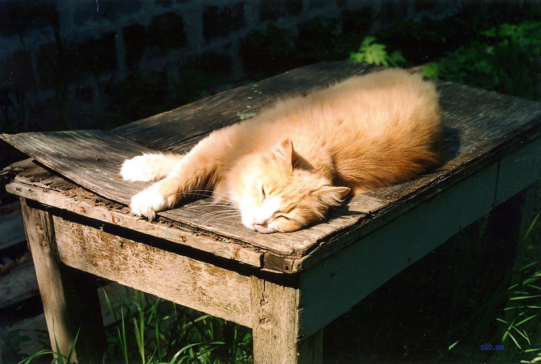 20081005_004.jpg