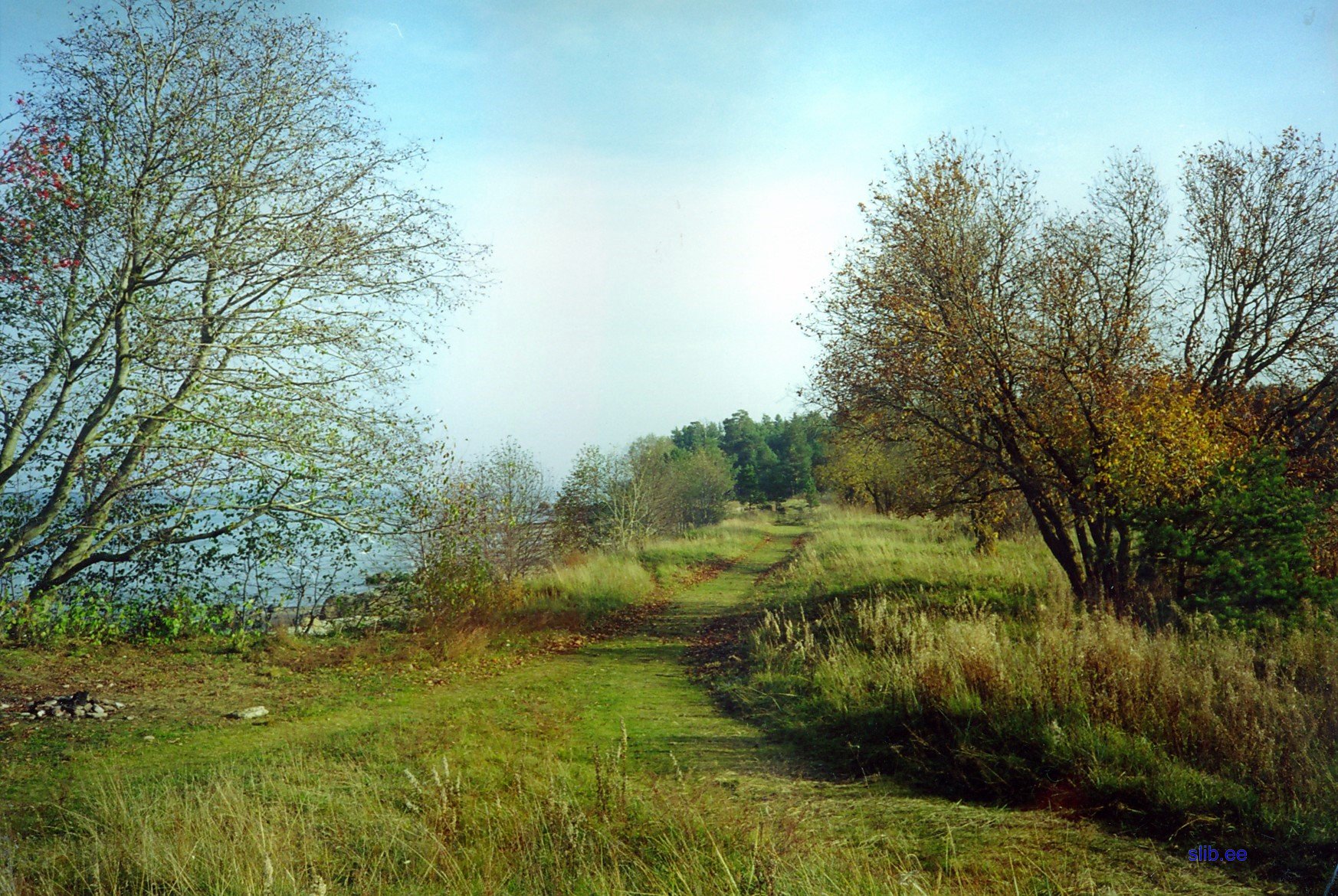 20081005_007.jpg